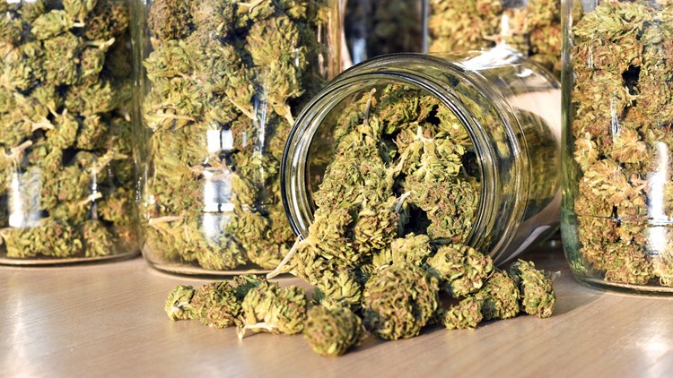 Marijuana is now Maine&rsquo;s biggest agricultural commodity