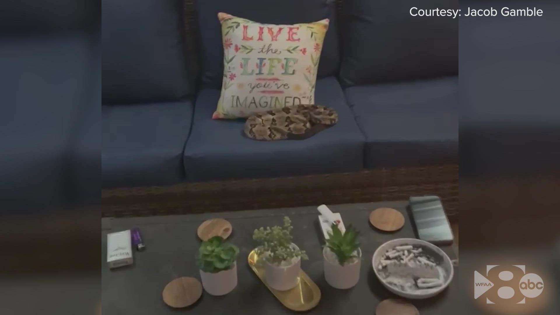 A Texas family was sitting on the couch watching the Mavericks game and left for 10 minutes. When they came back, in that same spot was a coiled-up rattlesnake.