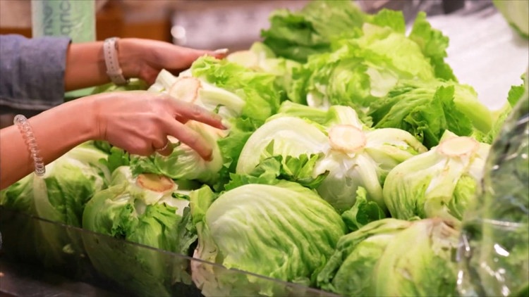 2 dead, hundreds hospitalized in lettuce-linked parasite affecting several states: CDC