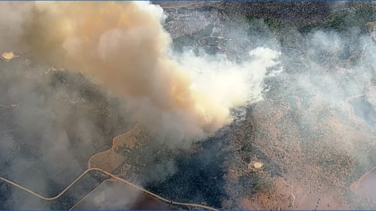 How to help as Ross Fire grows to 50,000 acres in Palo Pinto County