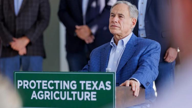 Second screwworm case in Texas confirmed, as Abbott expands state disaster declaration