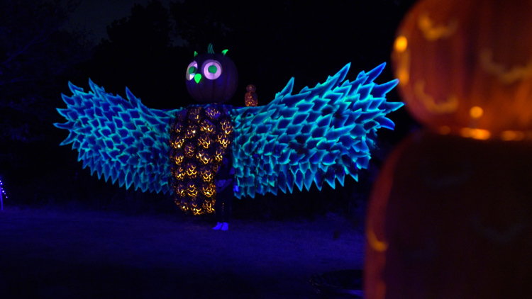 10,000 lighted pumpkins bring warm Halloween greetings