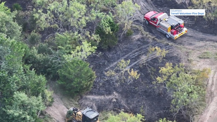 Gov. Greg Abbott activates additional Texas wildfire response resources as fire danger rises — WFAA Local