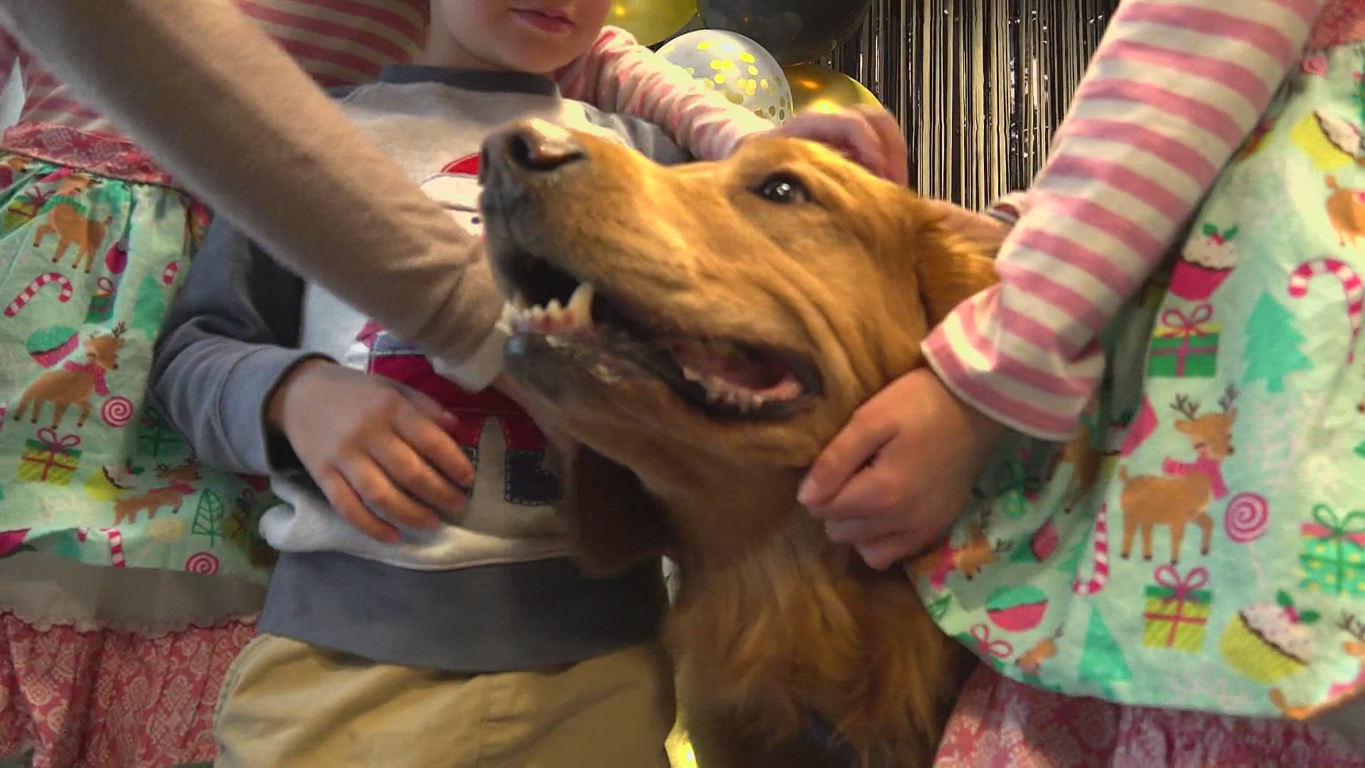 Quinn is a therapy dog at Randolph Health. He was diagnosed with lymphoma in June.