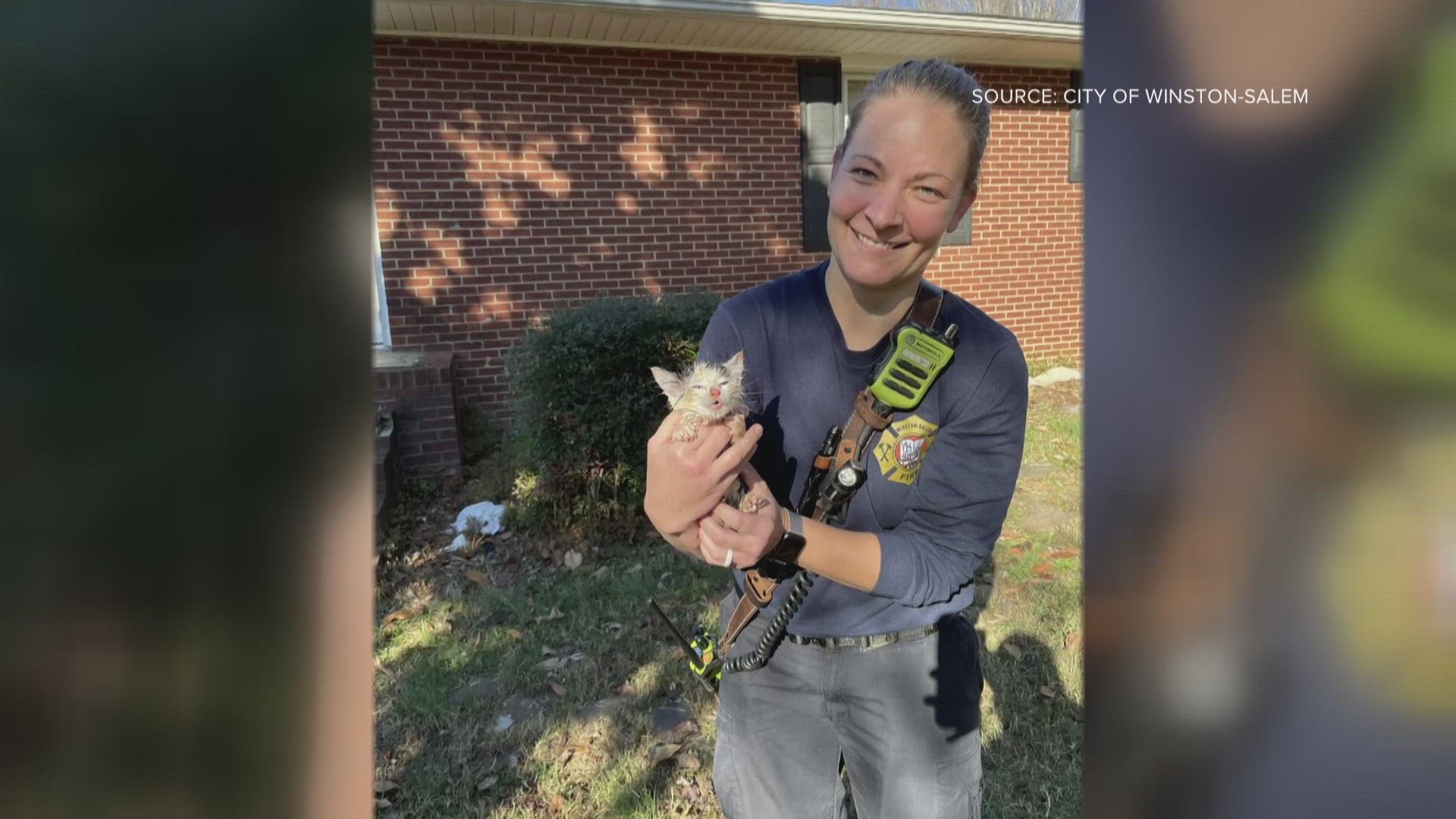 Adorable kitten rescued from North Carolina well | wthr.com