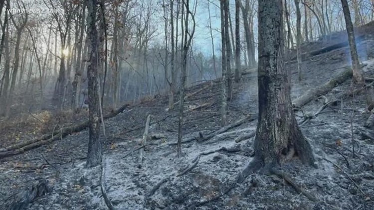 Pilot Mountain wildfire caused by campfire, 80% contained at this time