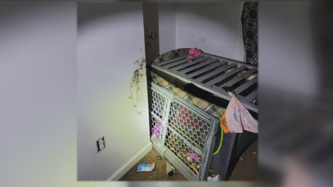 Toddler found in makeshift cage - Vimarsana News