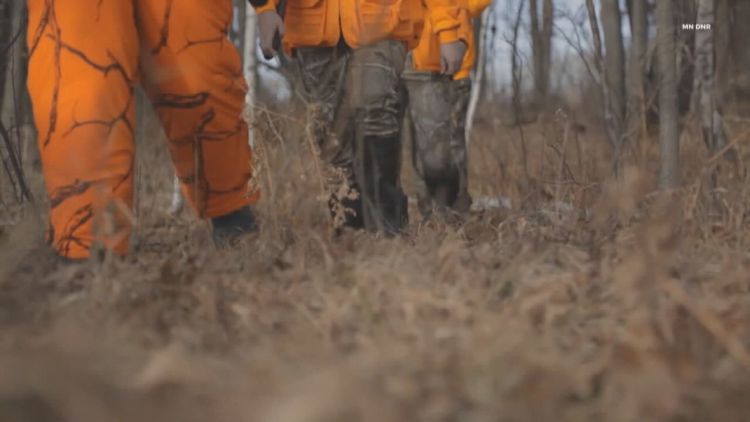 New York expands antler-less deer hunting to curb rising population