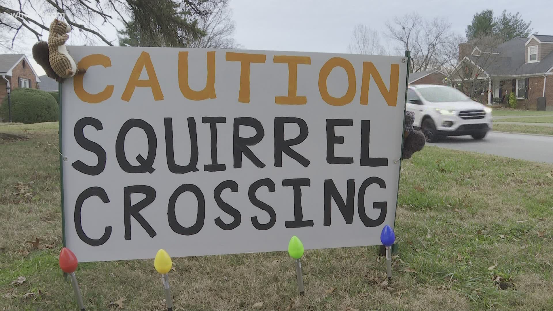 In a high traffic neighborhood in St. Matthews, passersby might think one homeowner is especially nutty for signs in their front yard.