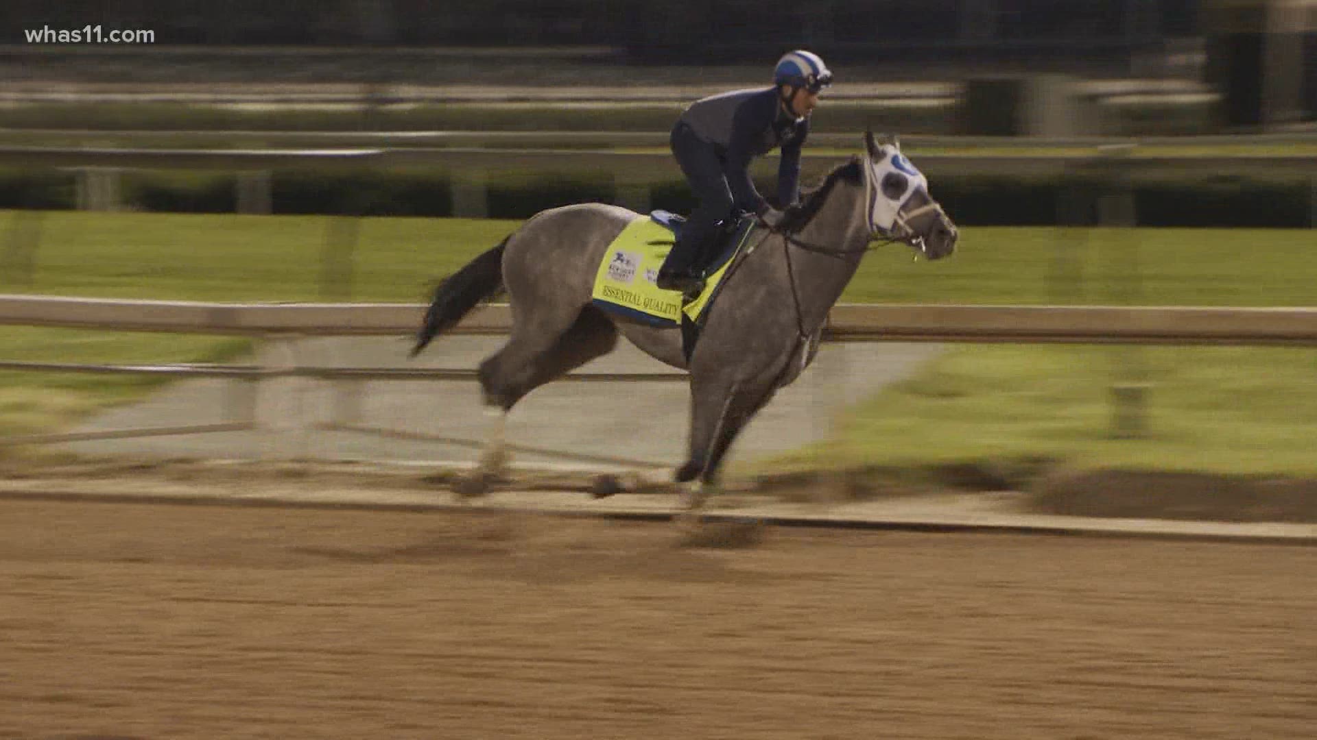 Essential Quality is expected to be the first gray horse favored to win the Kentucky Derby in 25 years. A gray horse hasn't won the Derby since Giacomo in 2005.
