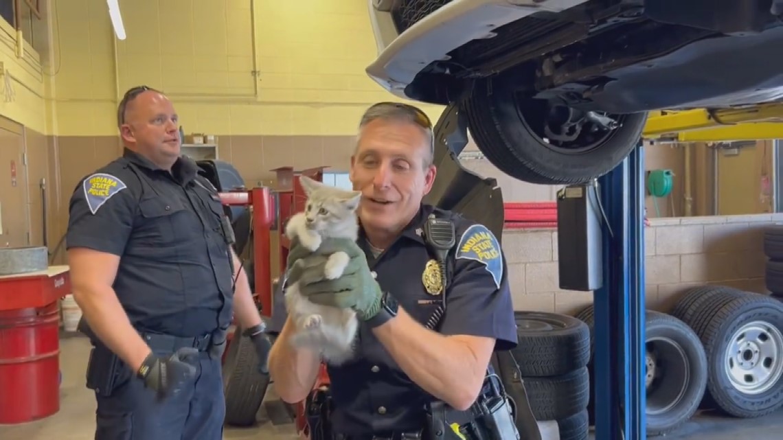 Indiana State Police rescue kitten trapped under hood of car