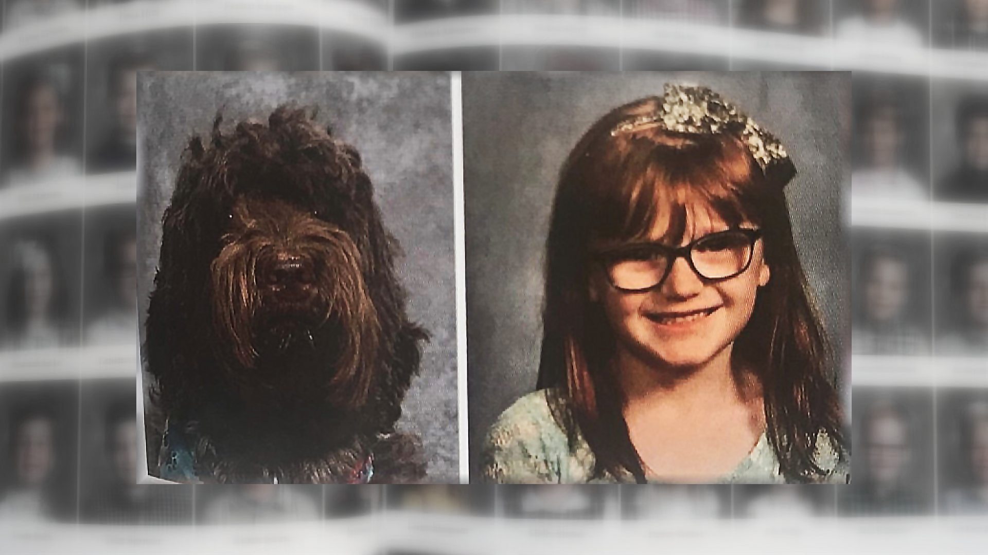 Ariel the Labradoodle is Hadley Jo's constant companion. She rides the bus, watches over Hadley Jo in class and was honored in the yearbook.