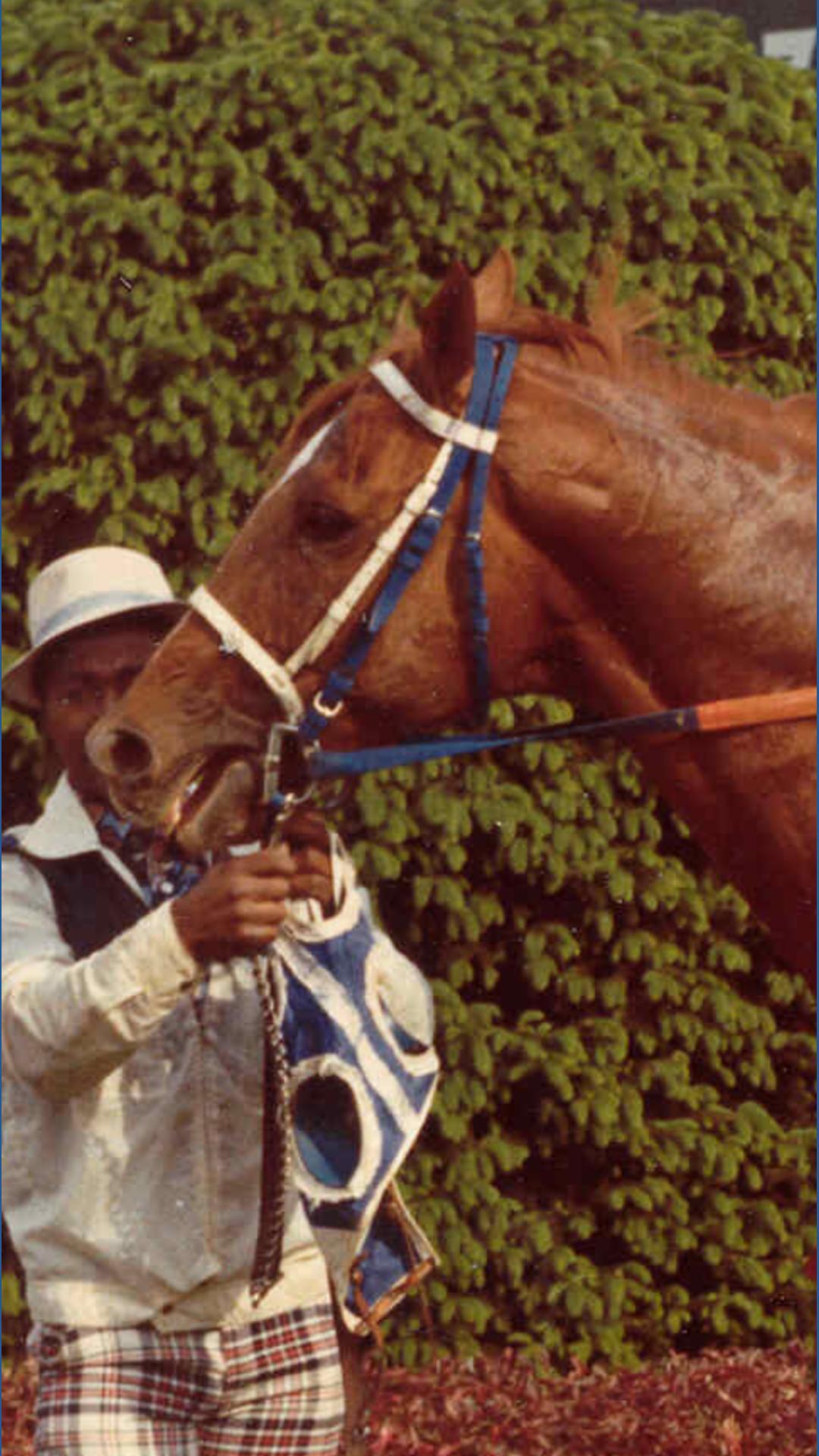 Kentucky Derby history: Secretariat's victory helped catapult him into ...