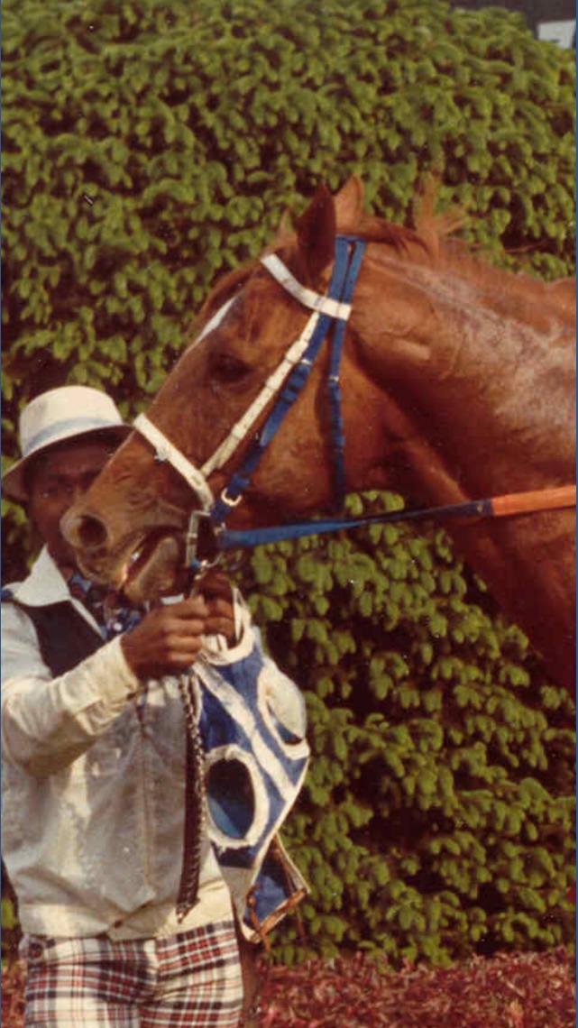Kentucky Derby history: Secretariat's victory helped catapult him into ...