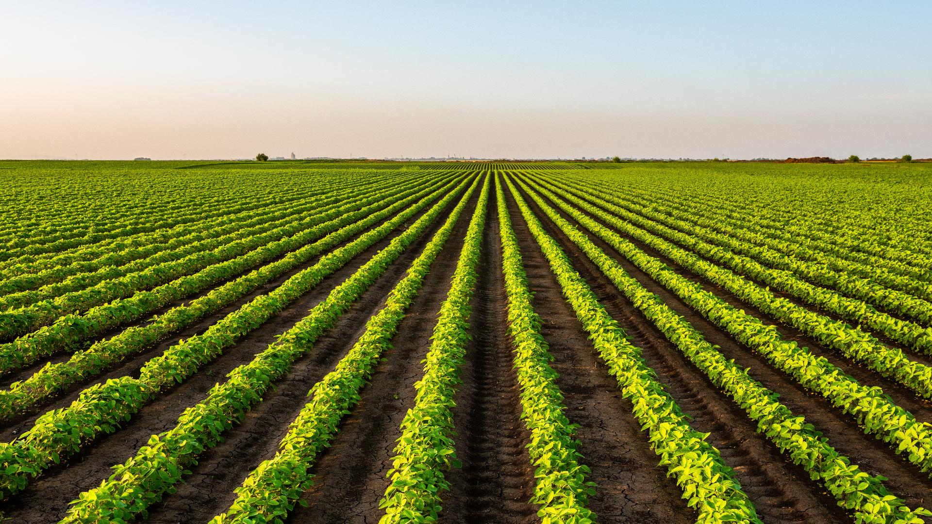 Trump resumes weapons shipments - Cd225705 Fc87 4e1d A94d 8f5e59655537 1920x1080 