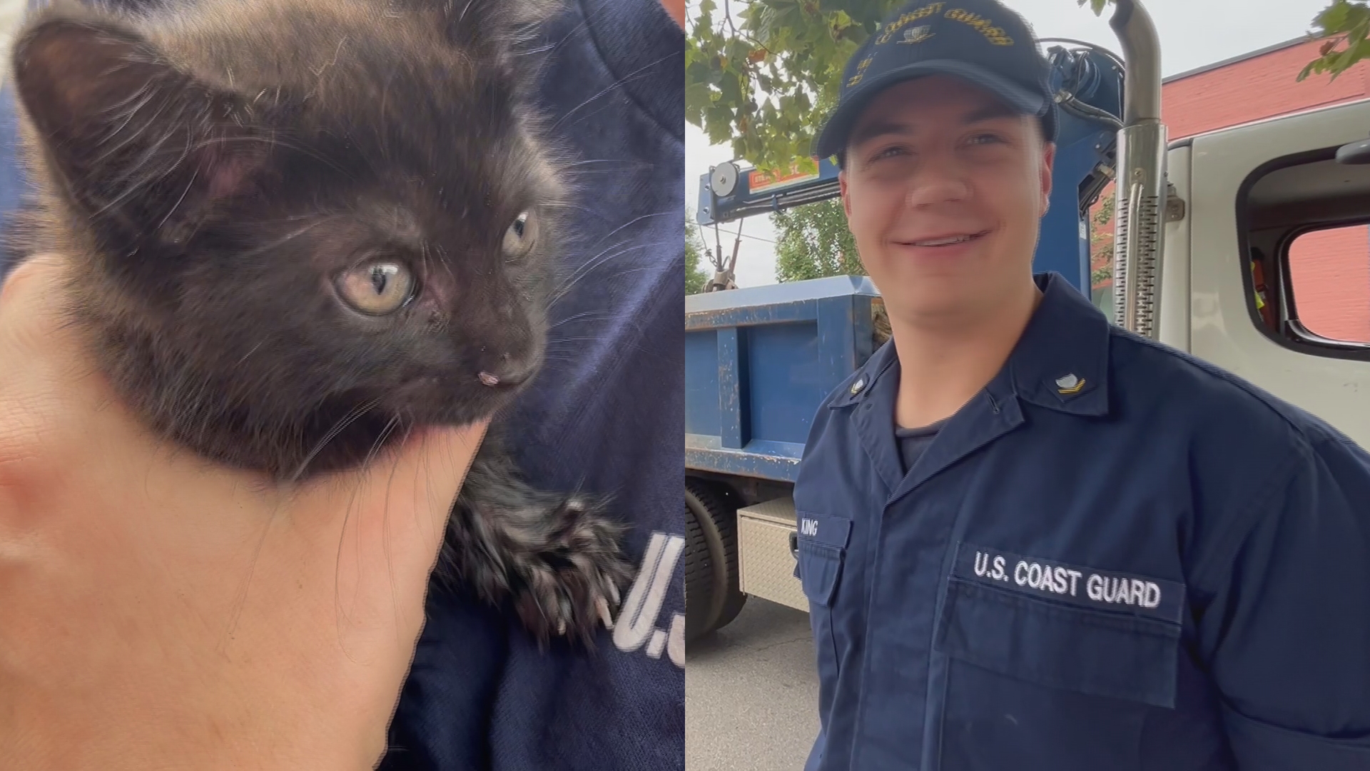 Kitten trapped in downtown Louisville storm drain rescued | 5newsonline.com