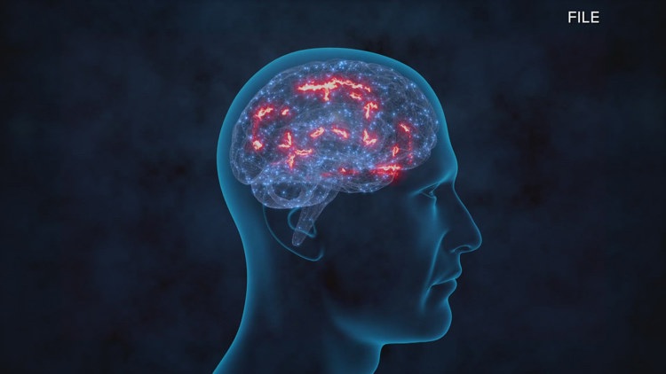 Gene-editing cholesterol away, new Alzheimer's findings and a supplement warning