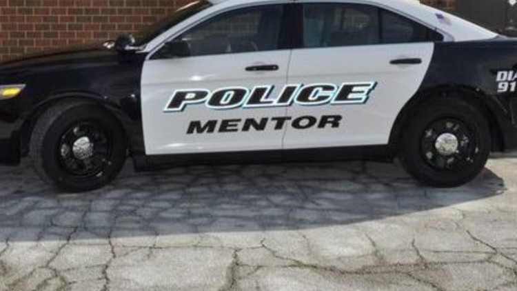 https://rexweyler.com/is-mentor-police-hiring-wkyc-com/