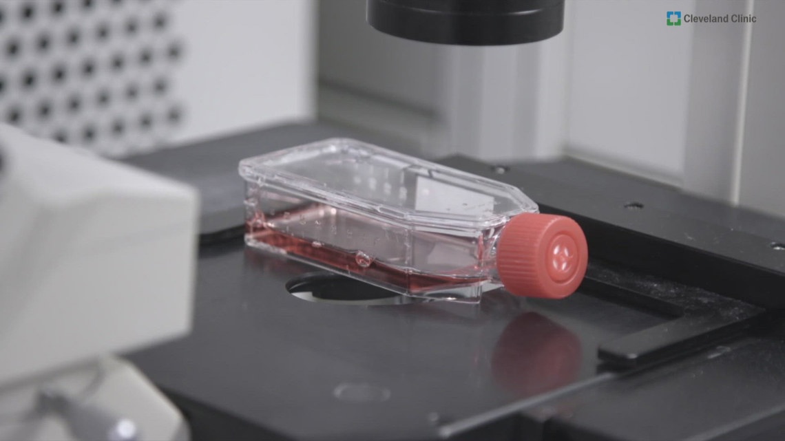 Cancer screening gaps, testosterone label changes and a rare summer threat