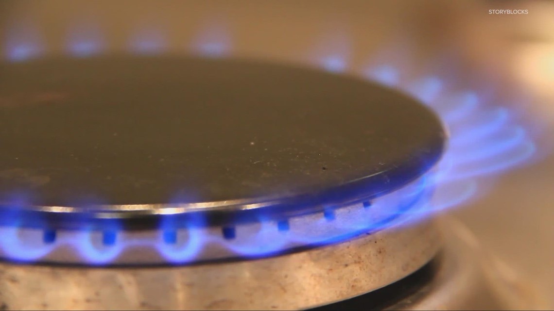 What are the alternatives to gas stoves?