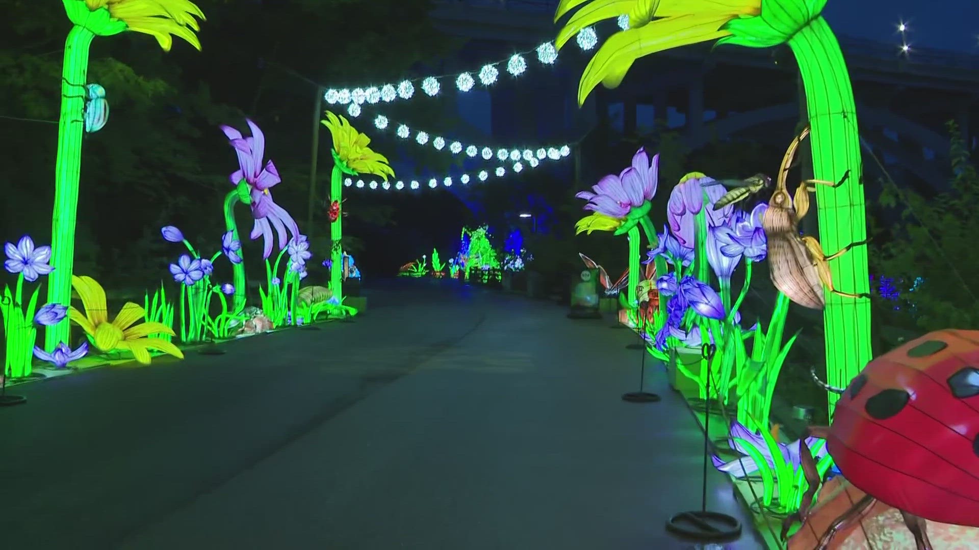 Here's a sneak peek inside the 2023 Asian Lantern Festival at the Cleveland Metroparks Zoo.