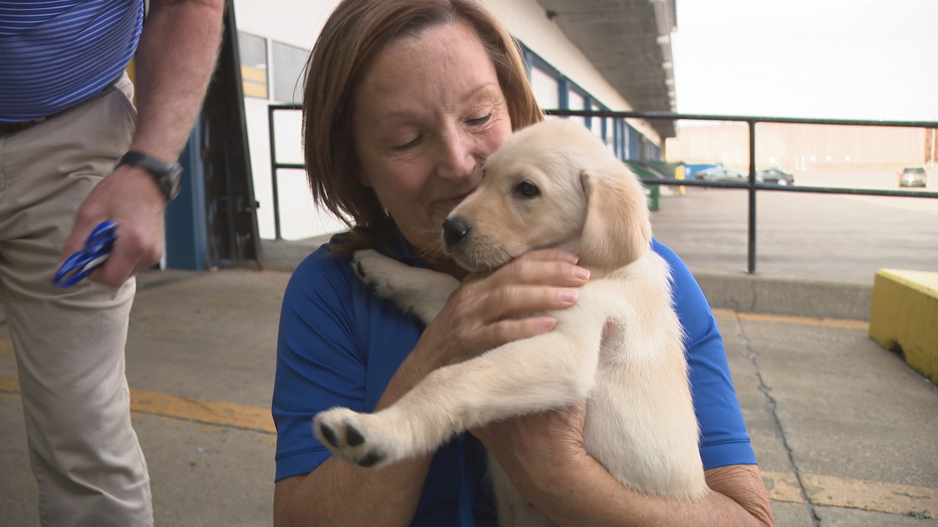 The 8-week-old Labrador Retriever is beginning his journey in northeast Ohio to become a Canine Companions' service dog.