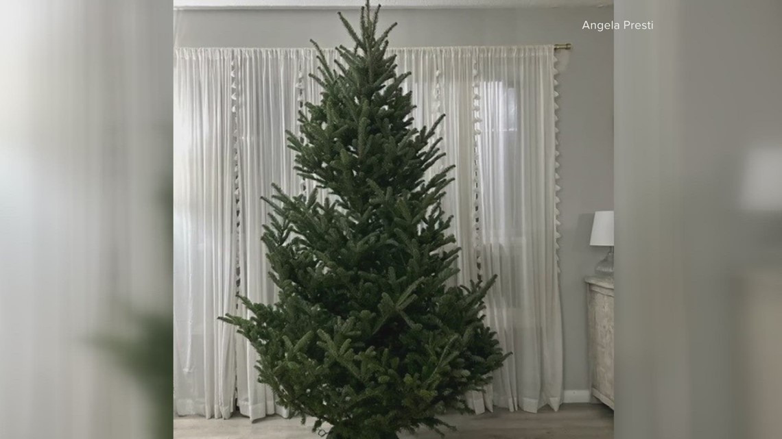 Ohio woman hospitalized after exposure to live Christmas tree - Vimarsana News