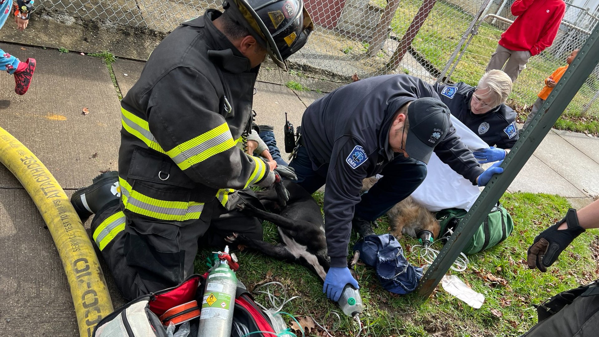 Cleveland firefighters revived a dog after a fire broke out in a home near the intersection of West 56th Street and Field Avenue on Thursday afternoon.