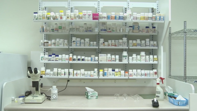 Forever chemicals, generic drugs and the hidden calories sabotaging your diet