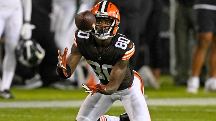 Cleveland Browns cut preseason standout Austin Watkins Jr ...