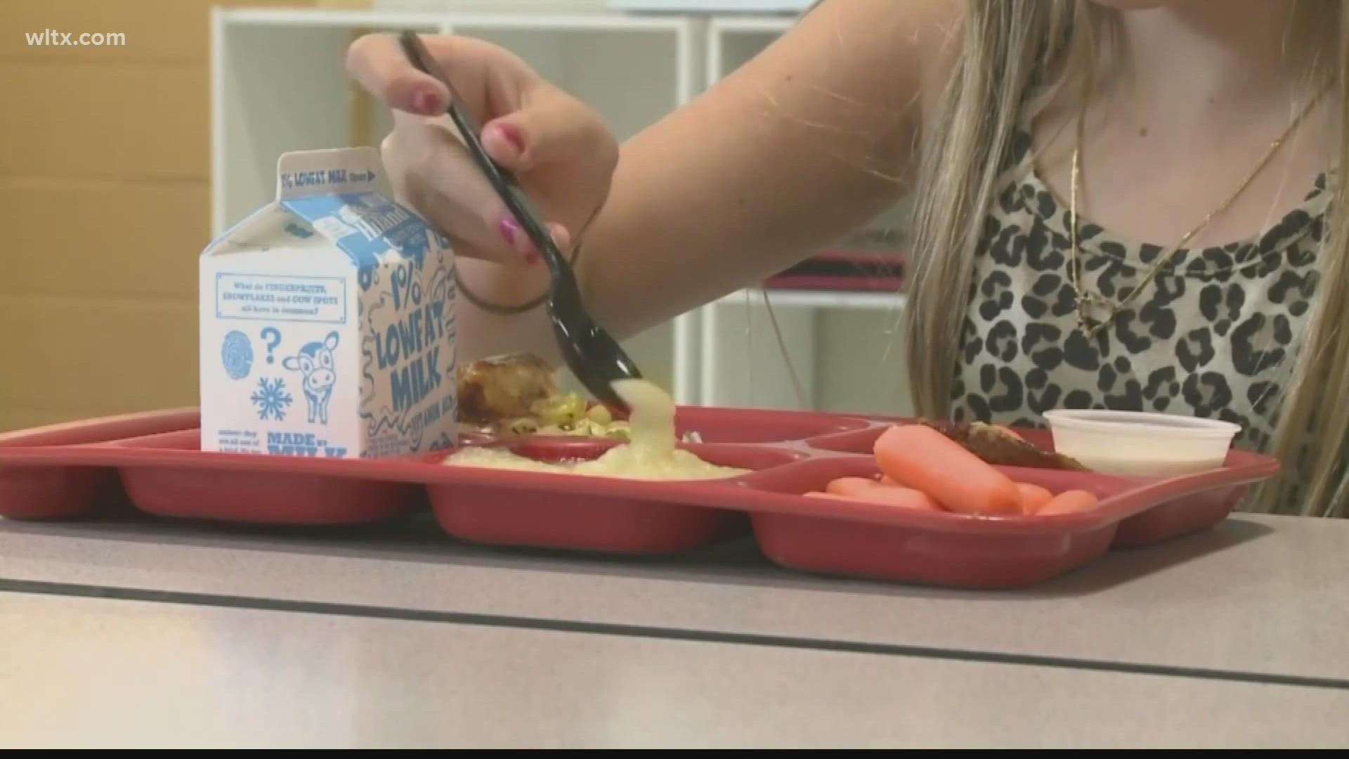 Richland Two school district sent an email to parents that students will be denied lunch if their meal debt is $10.