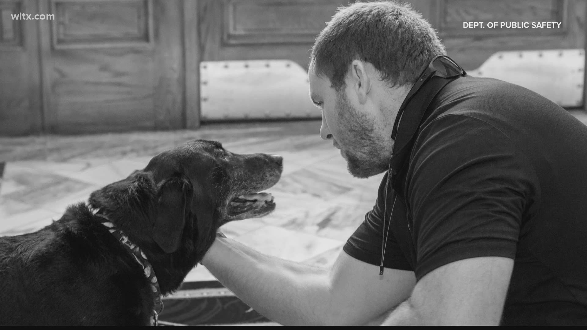 Joseph Graves served in the Marines from 2012 to 2016. When he joined, he was paired with his canine, Cane.  They served in Afghanistan but parted ways after tour.