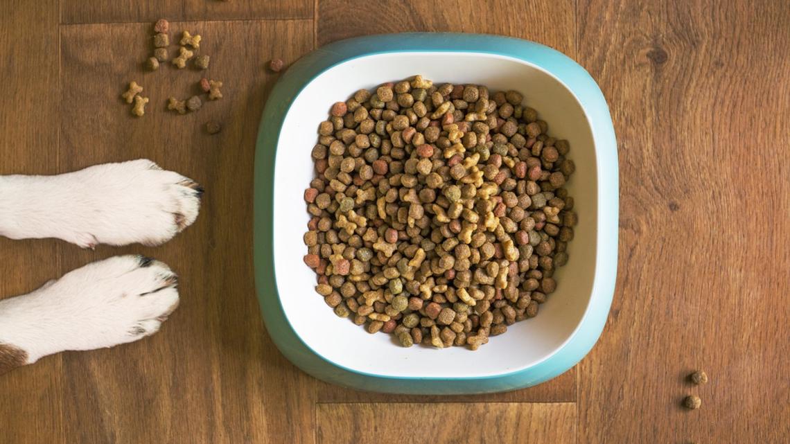 Dog food sold by Walmart recalled may contain metal pieces - Vimarsana News