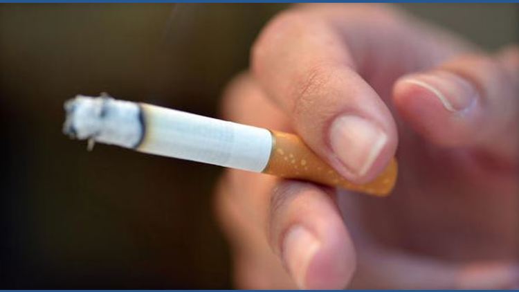 flavored cigarettes germany German West Blue 4mg Flavored Cigarettes For Sale West (cigarette)