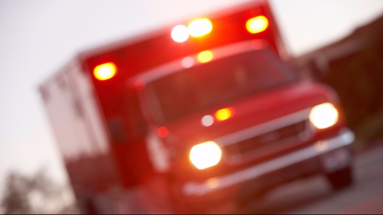 2 dead, 2 injured after tree falls on truck in Putnam County, sheriff says