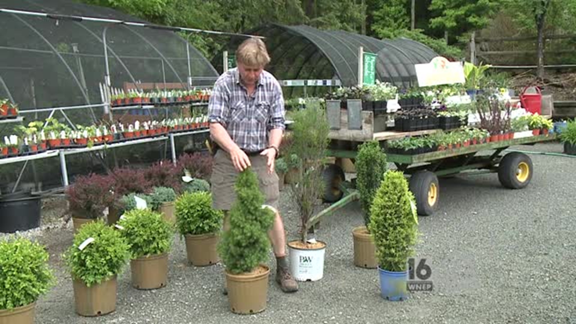 Paul - Planting Shrubs & Flower Beds