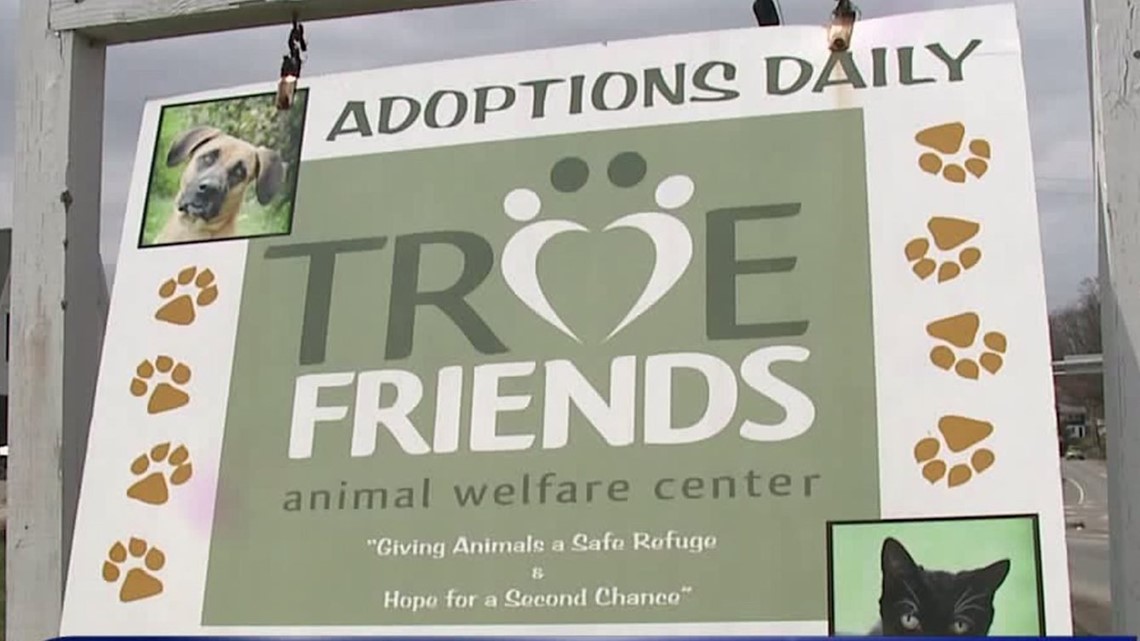 Free Pet Adoptions This Weekend