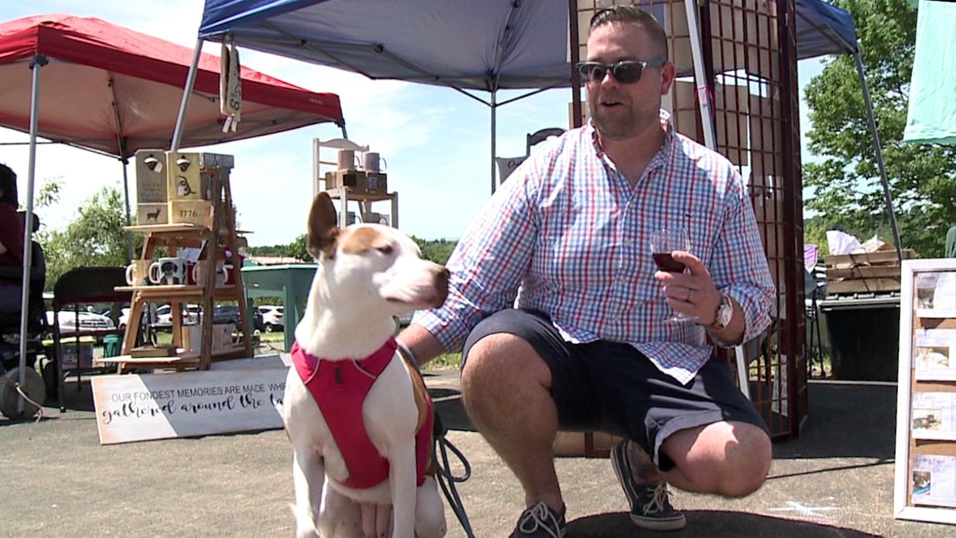 People and Pooches Pack Pittie Palooza