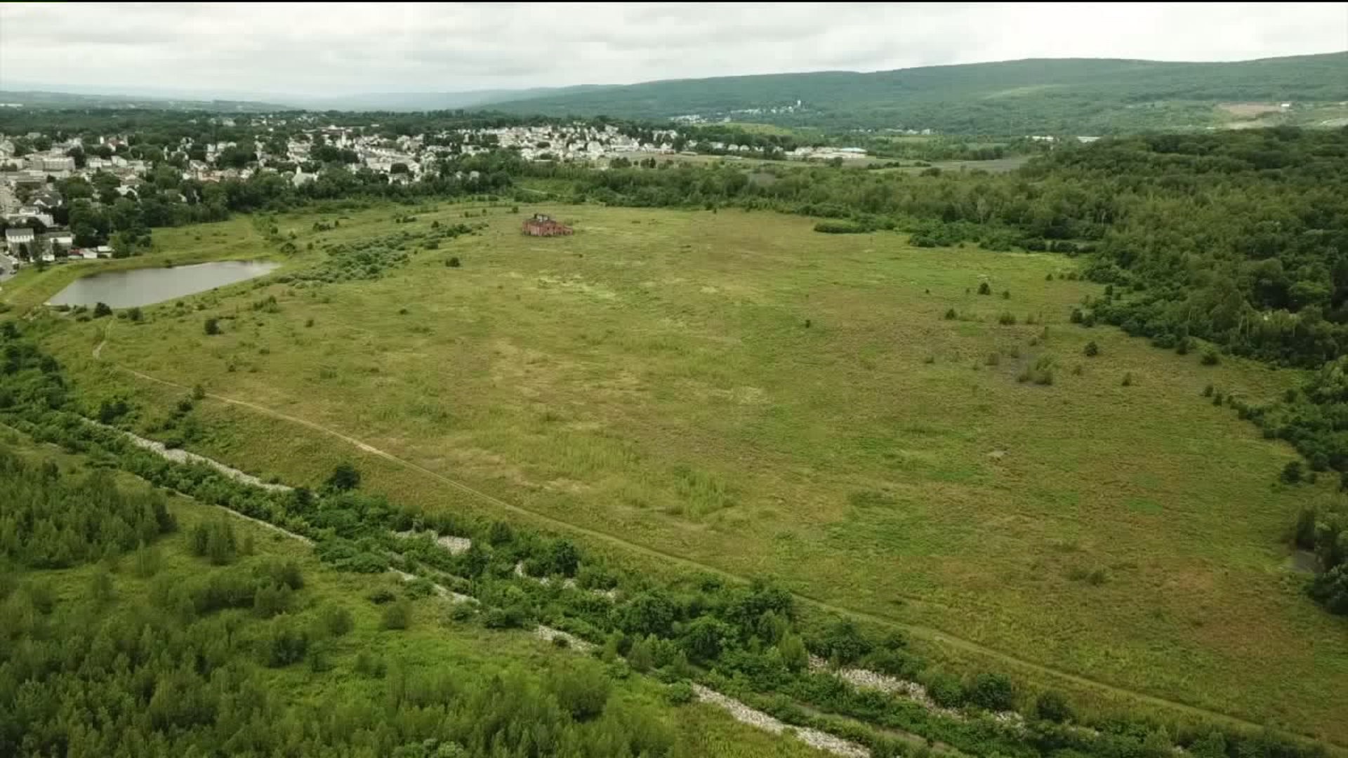 Reclaiming the Taylor Colliery