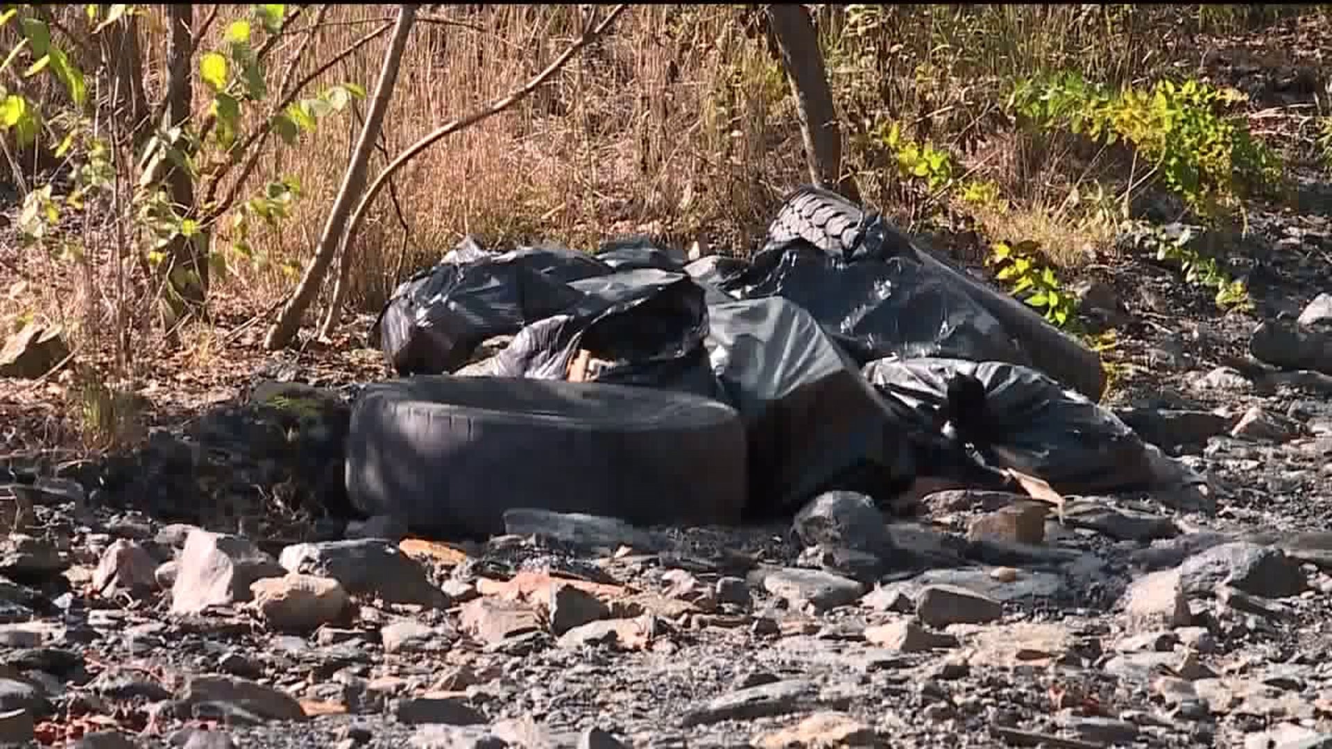 Viral Video of Illegal Dumpers Prompts Community Cleanup
