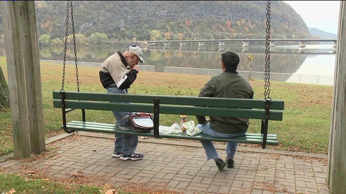 Black Flies are Really “Bugging” People | wnep.com