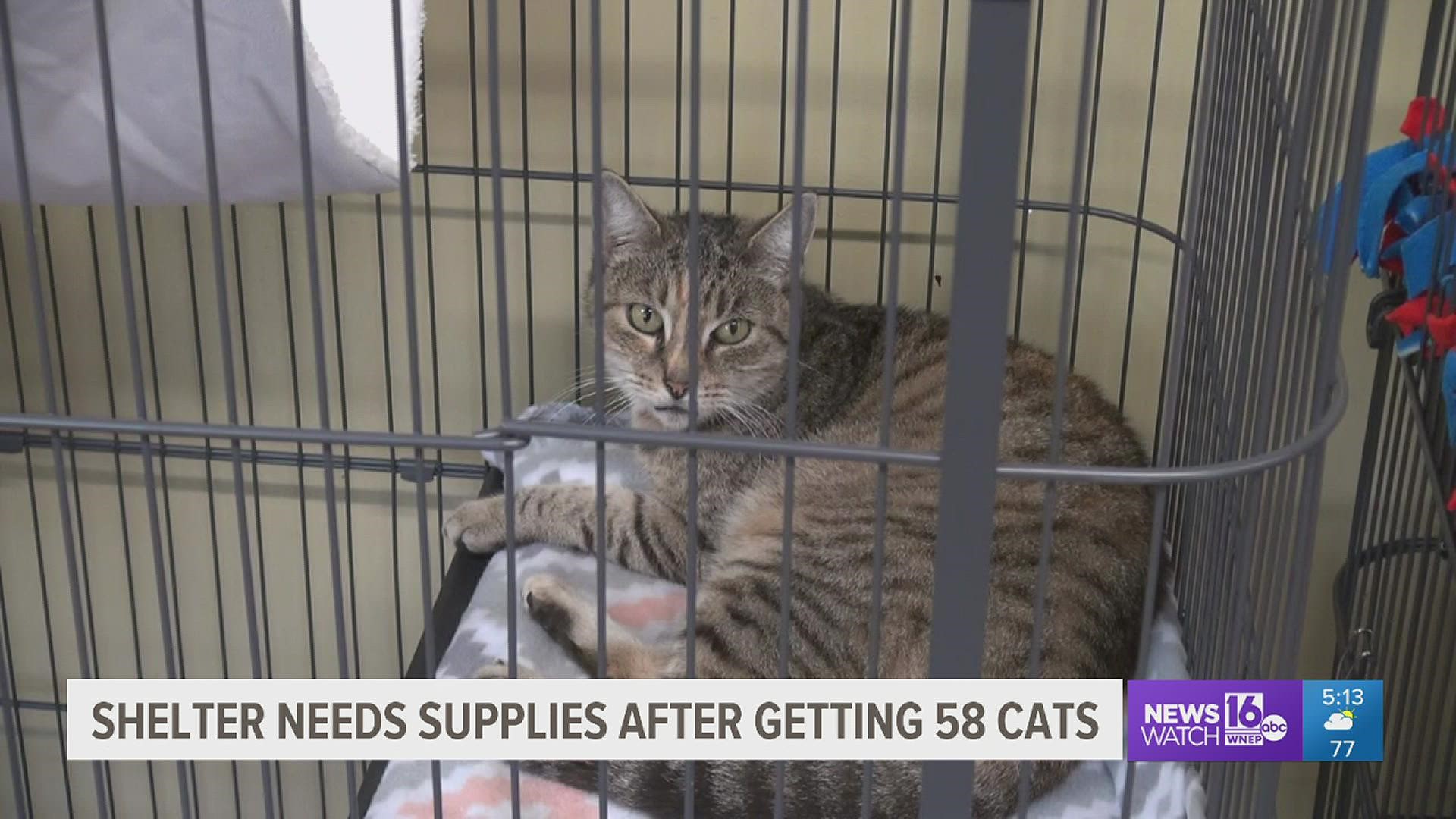 An animal shelter in Columbia County took in nearly 60 cats from a hoarding situation and now could use some supplies.