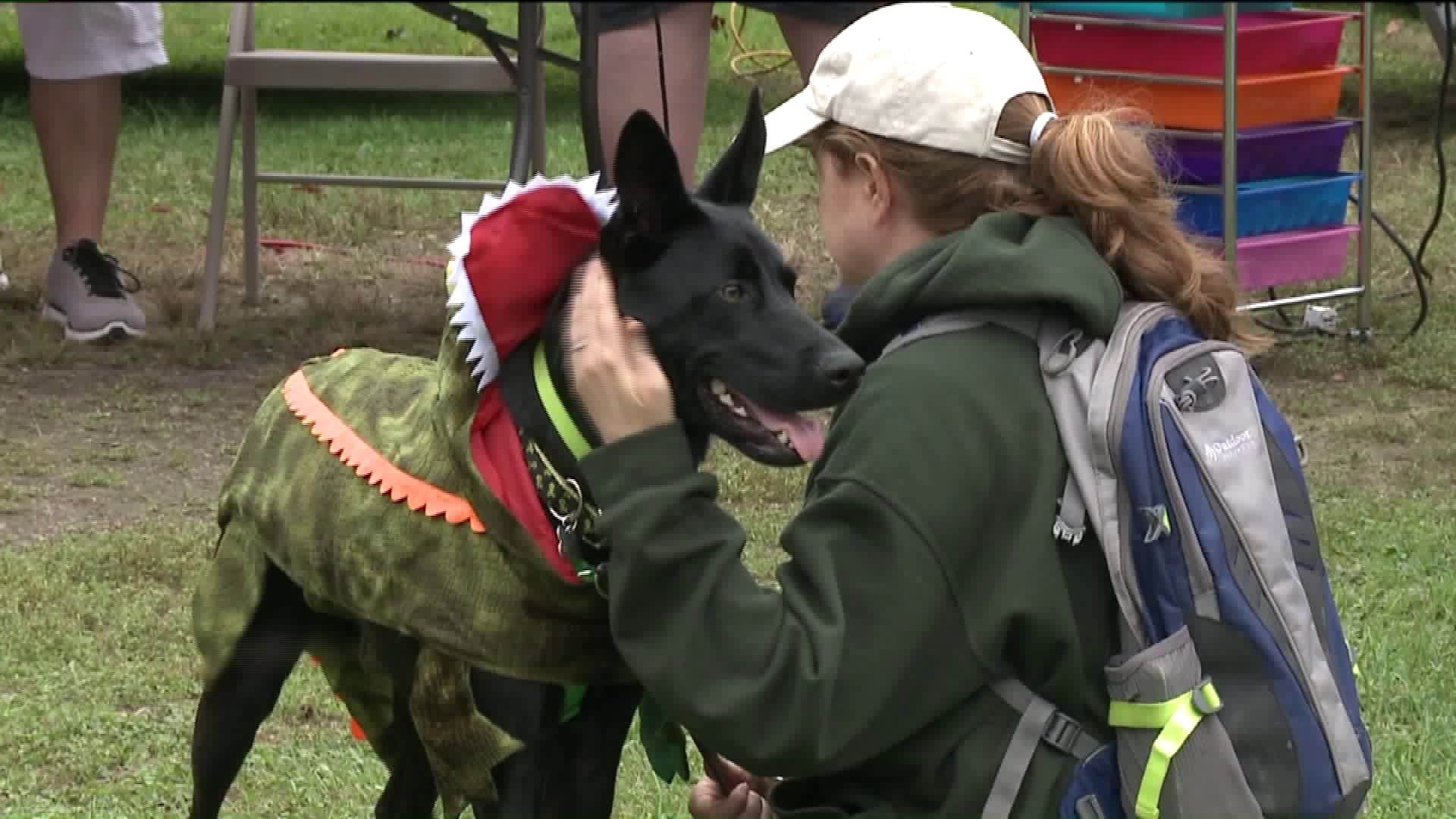 Costumed Pets Take Bite out of Cancer