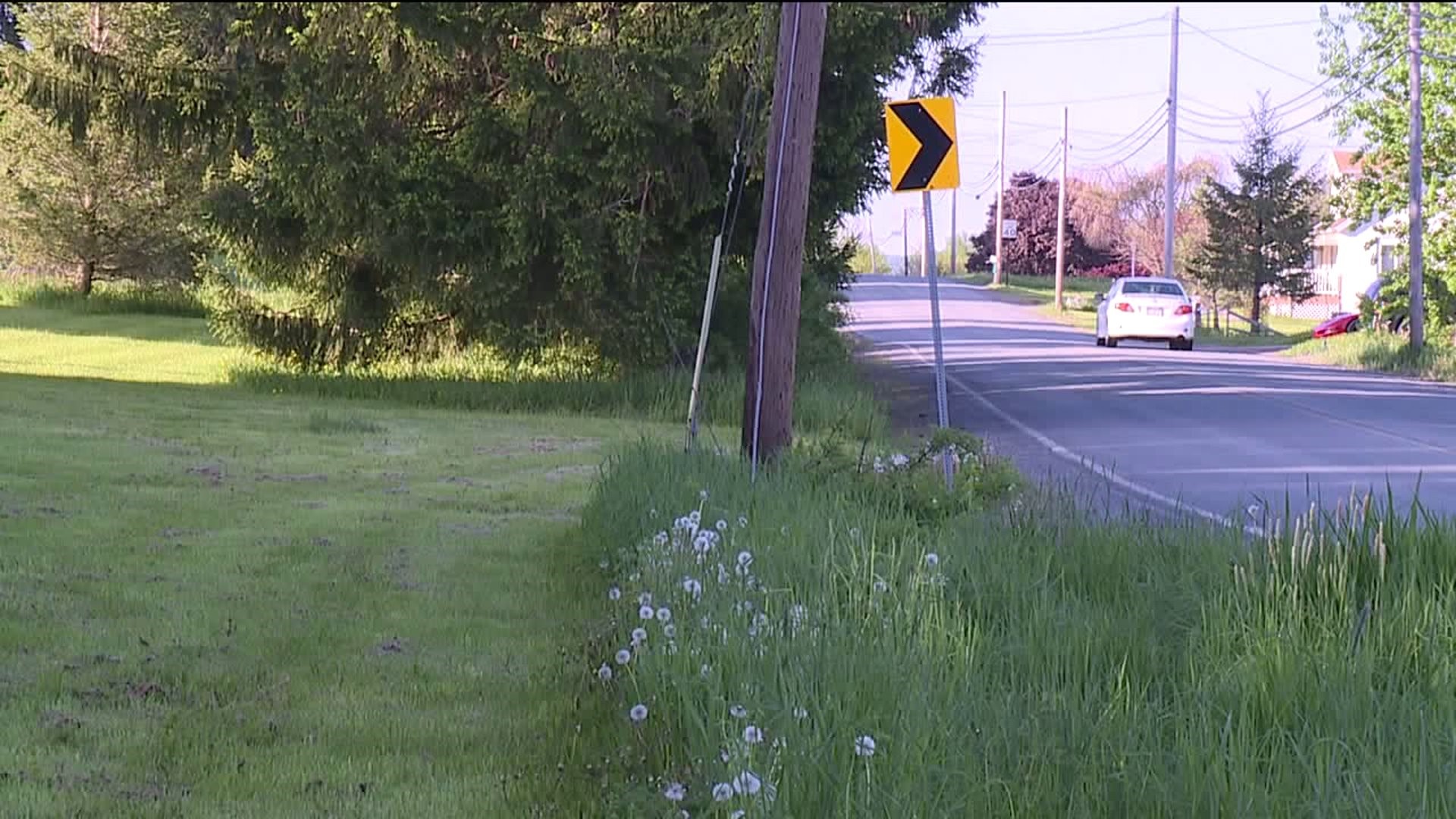 Man Dies After Getting Struck by Vehicle While Riding Lawn Mower