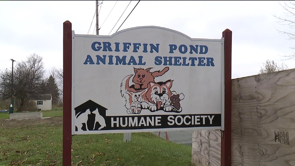 Local Animal Shelter to No Longer Euthanize Animals