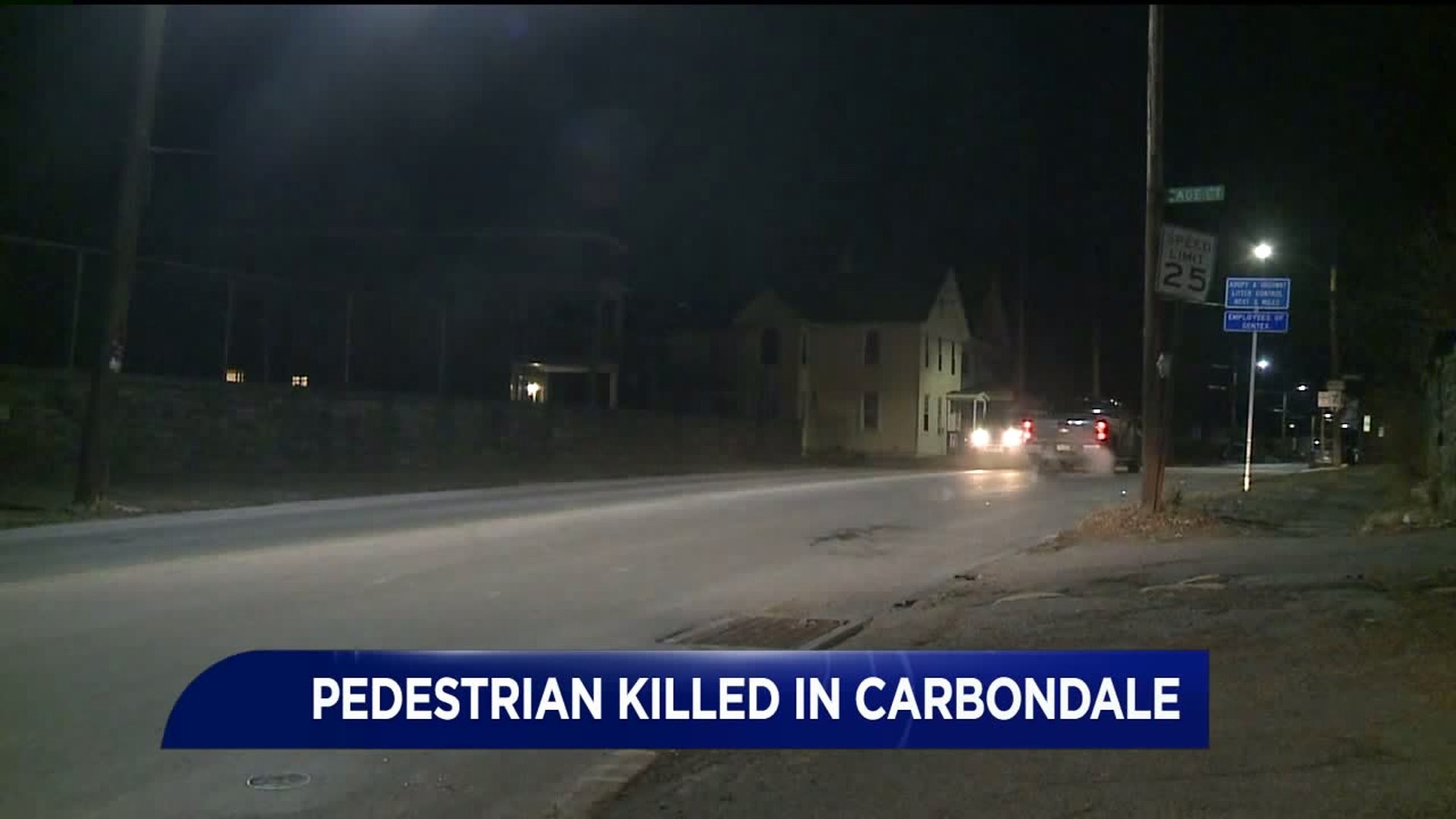 Police: Pedestrian Hit and Killed in Carbondale