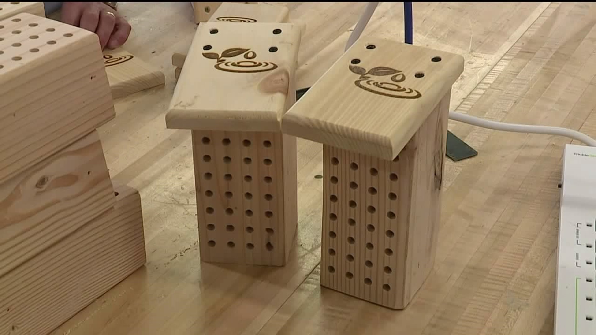 Students Build Bee Houses