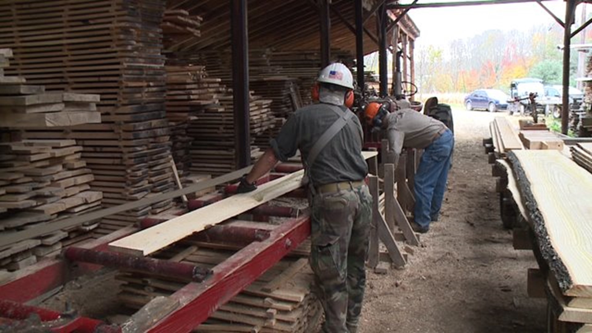 Visit to a Sawmill