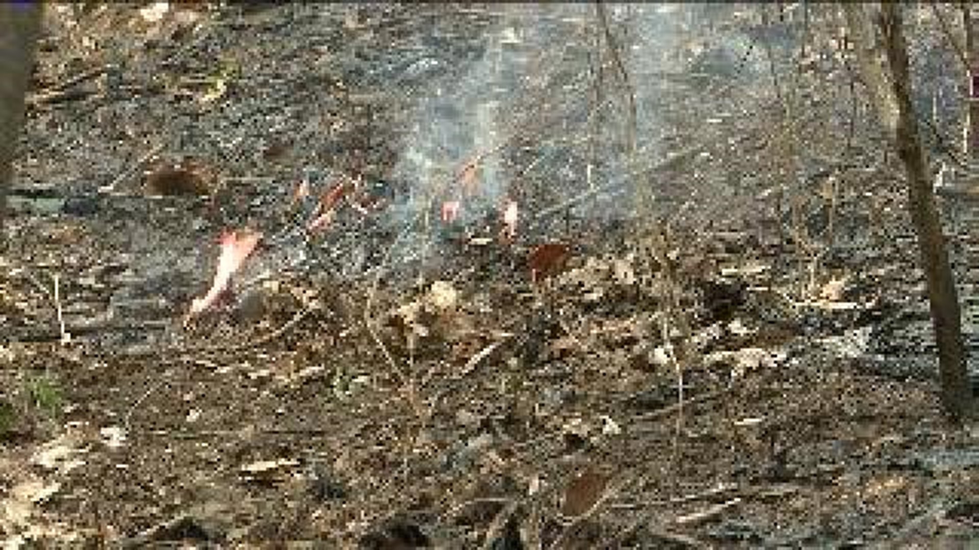 Brush Fire In Luzerne County Threatens Homes