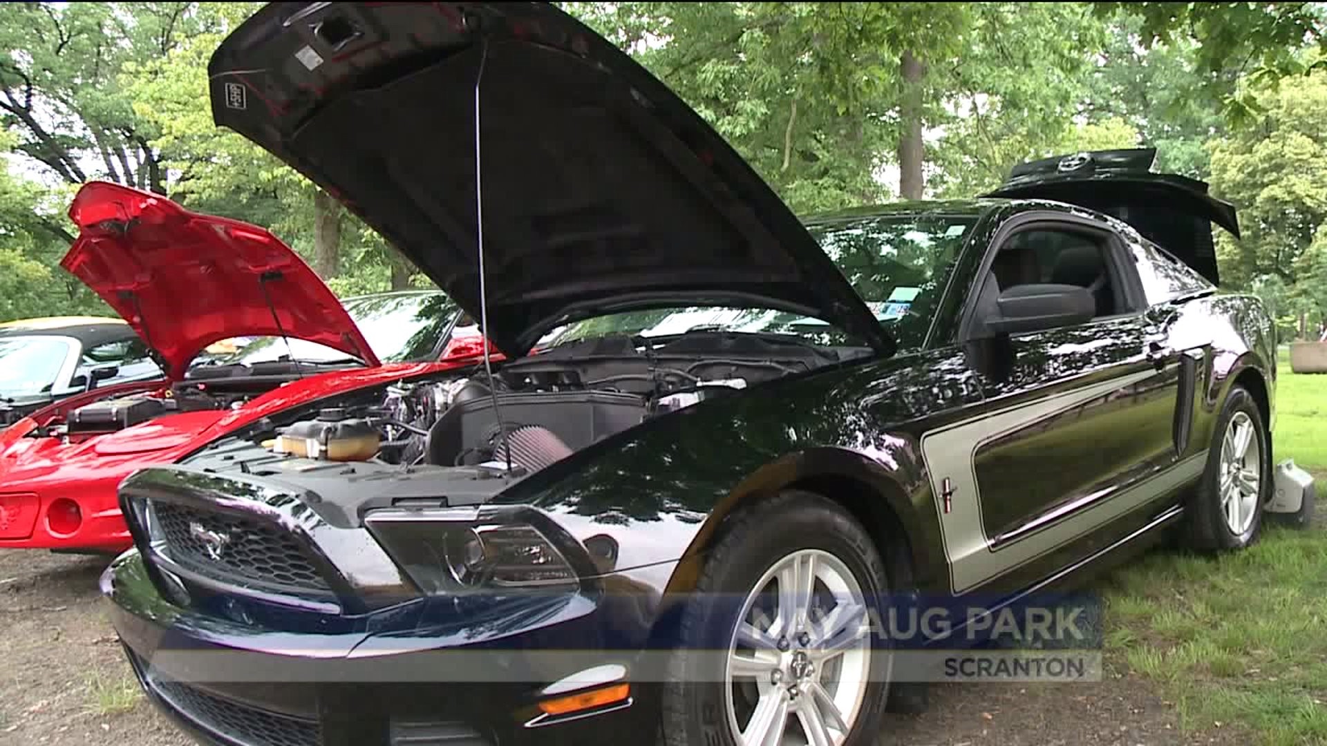 25th Annual Father`s Day Car Show at Nay Aug Park